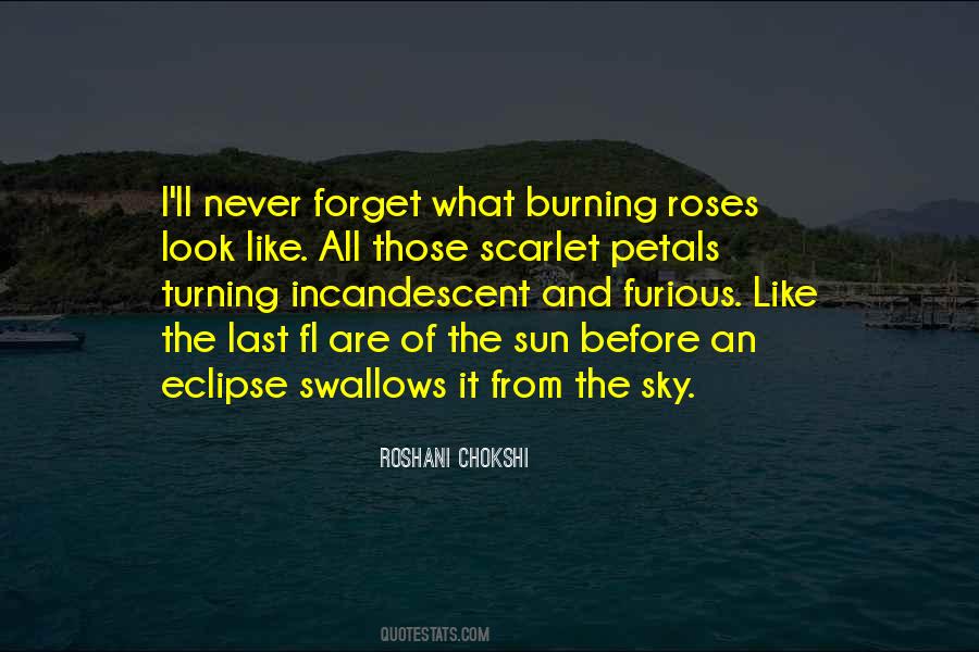 Burning Sky Quotes #3781