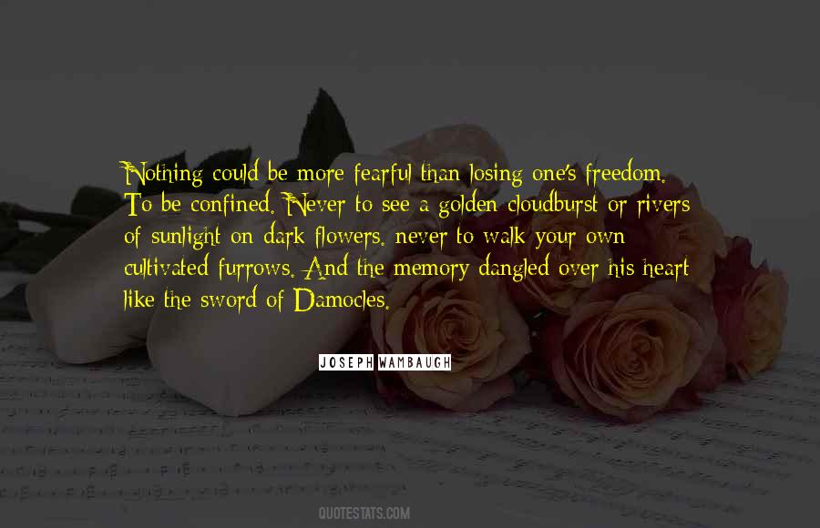 Quotes About Losing Our Freedom #509833