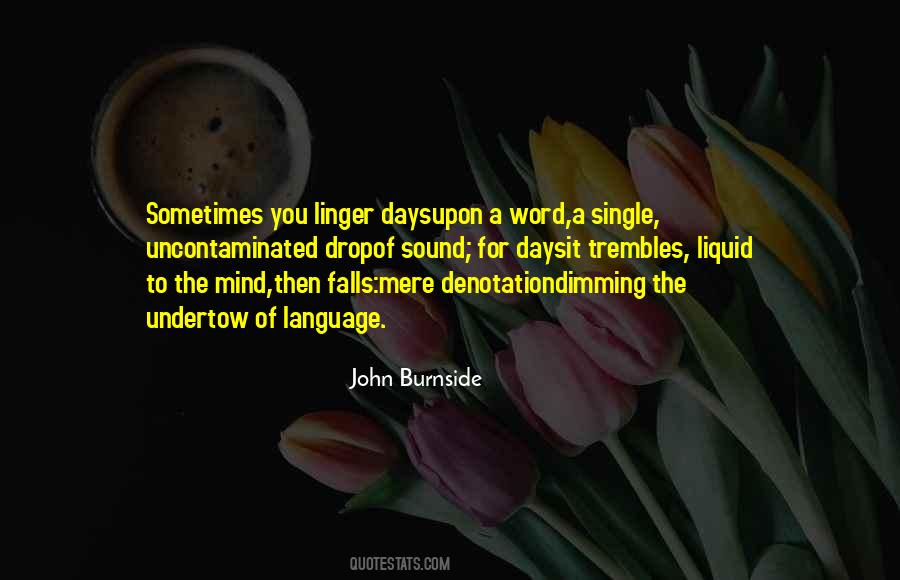 Burnside Quotes #1379190