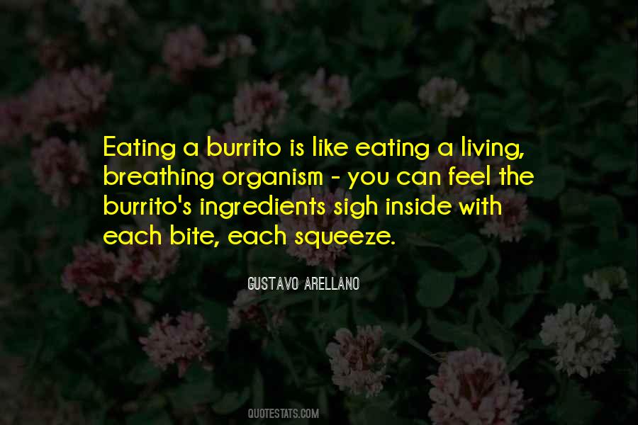 Burrito Quotes #612712