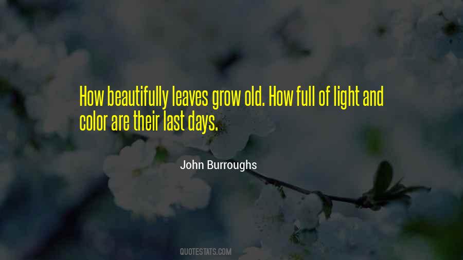 Burroughs Quotes #90528