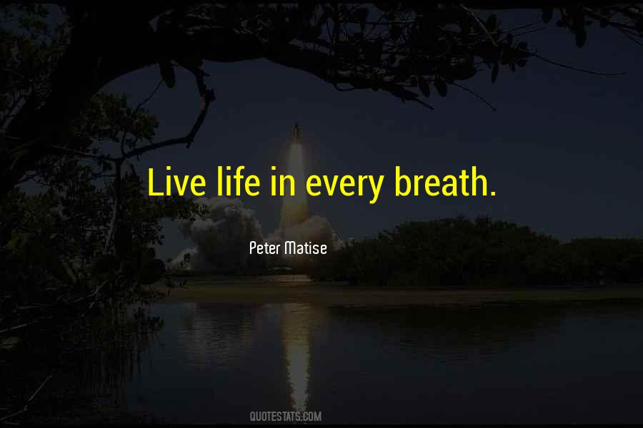 Safe Heaven Quotes #415400