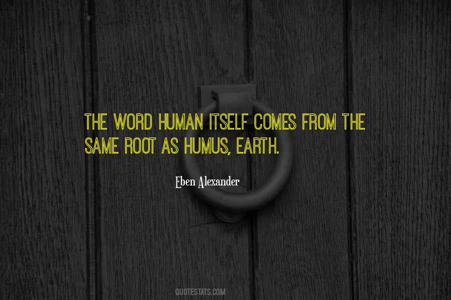 Veejays Shoes Quotes #798424