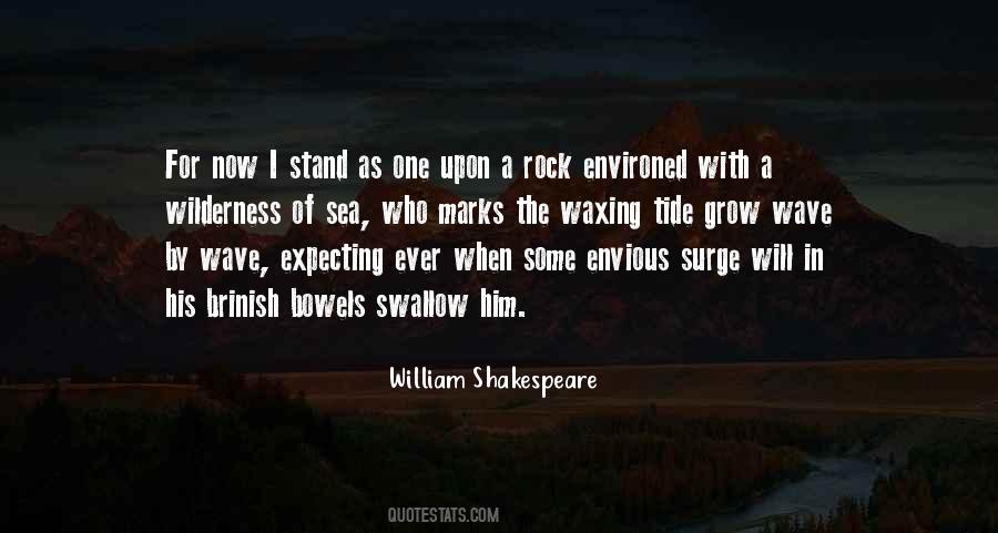 Wave In The Ocean Quotes #320437