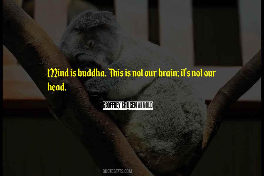 Buddha S Brain Quotes #1464863