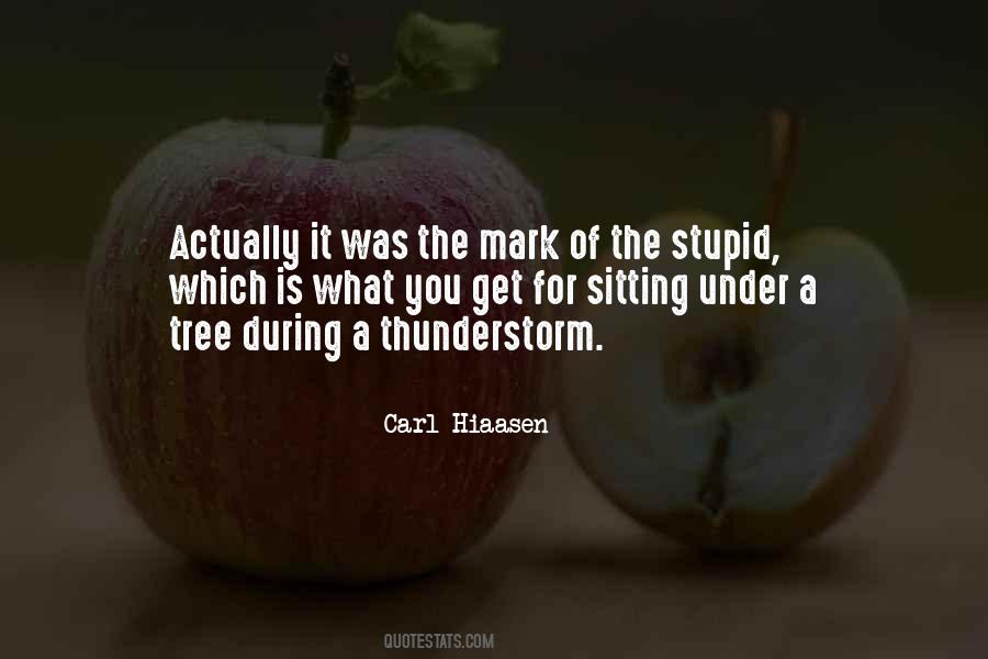 Telisa Hill Quotes #1493588