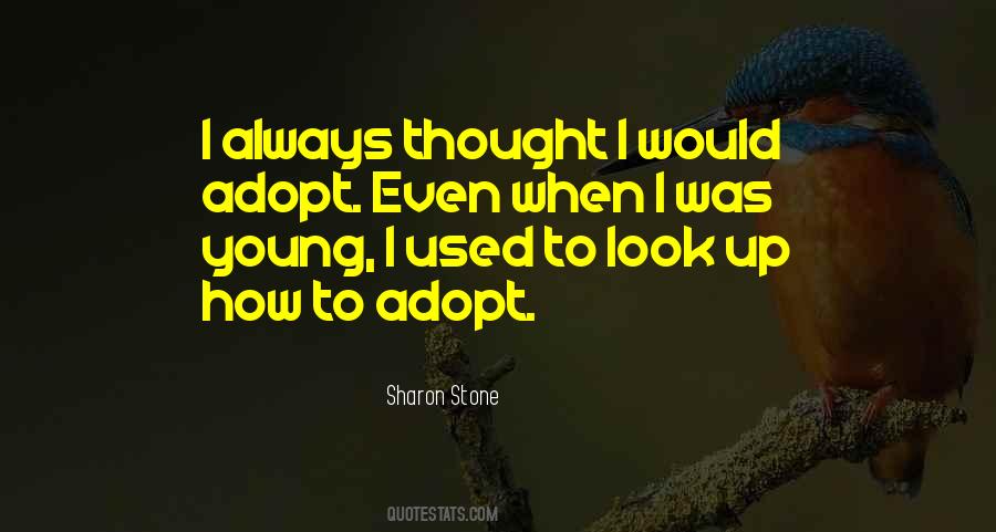 Unbloomed Sunflower Quotes #95614