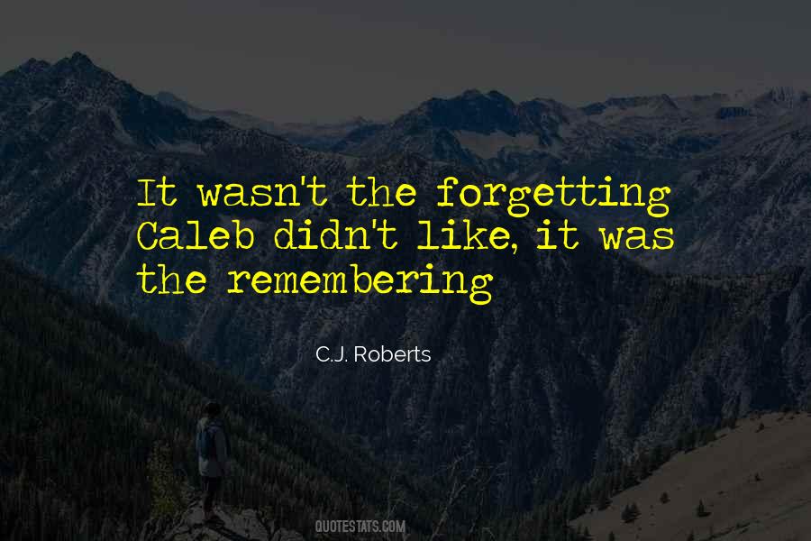 Helgason Photography Quotes #1408269