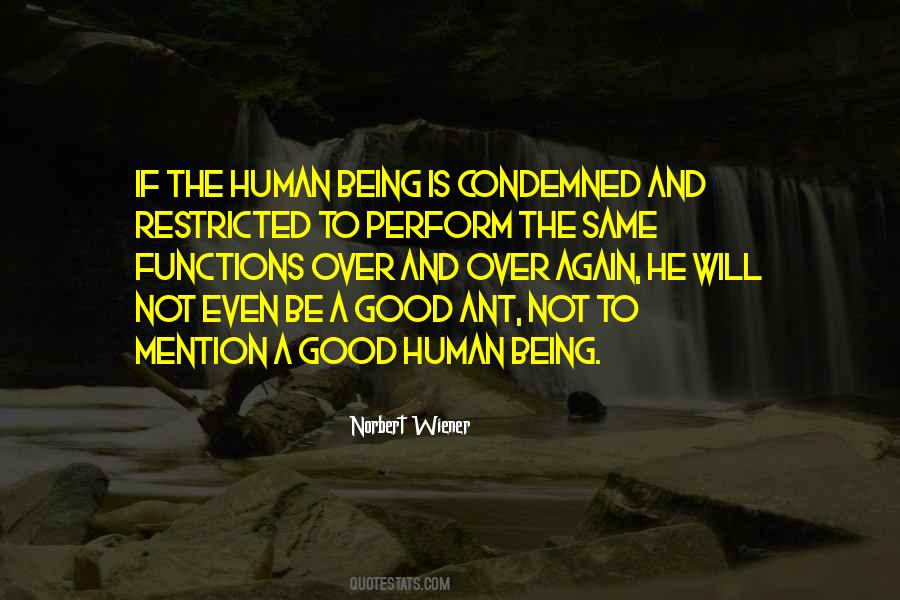 Fringilla Lodge Quotes #682663