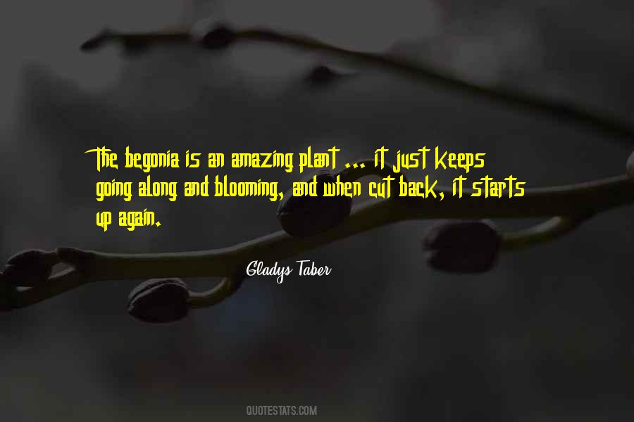 13470 Quotes #144284