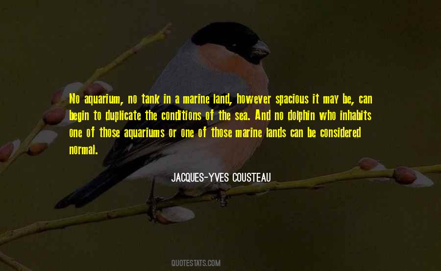 Joselynn Zaffuto Quotes #948150