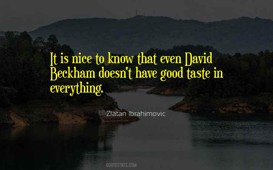 Ibrahimovic Zlatan Quotes #1546958