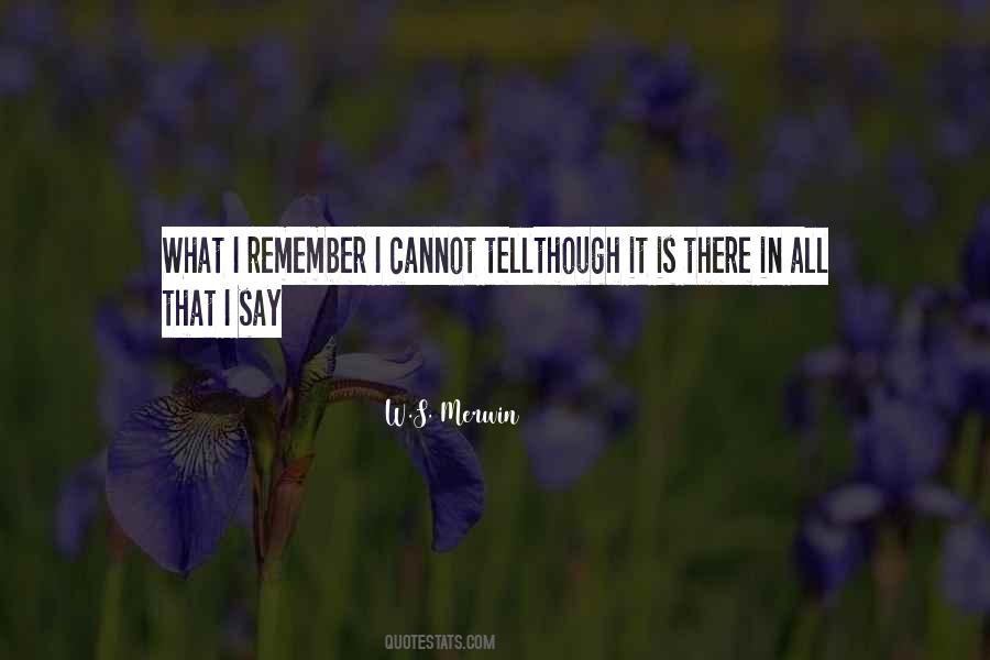 Porporato Quotes #365607