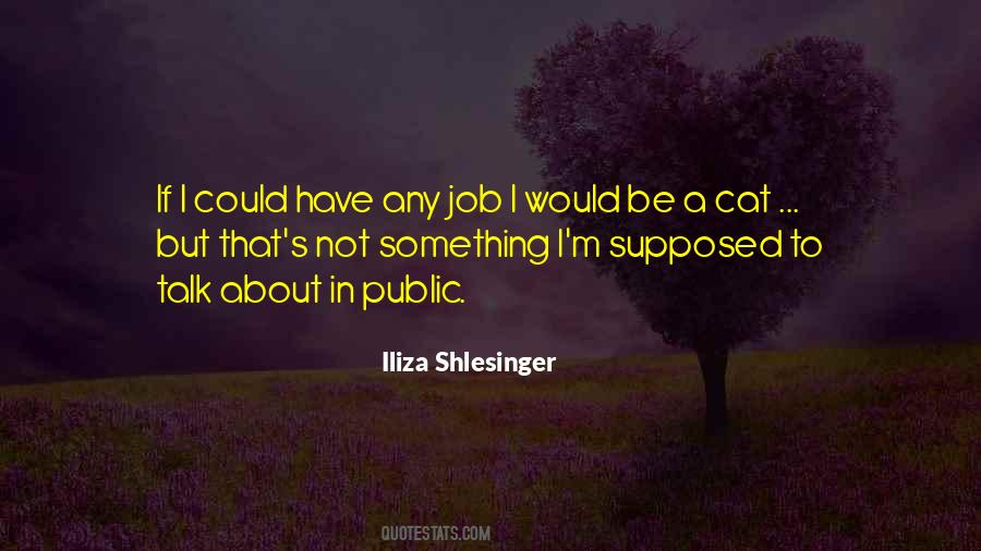 Iliza Quotes #187169