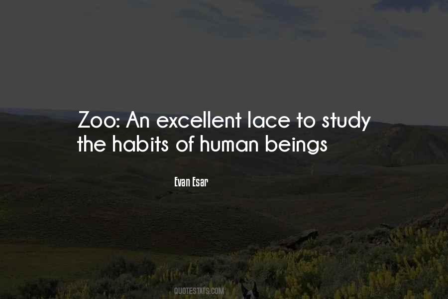 Paradoja Definicion Quotes #265992