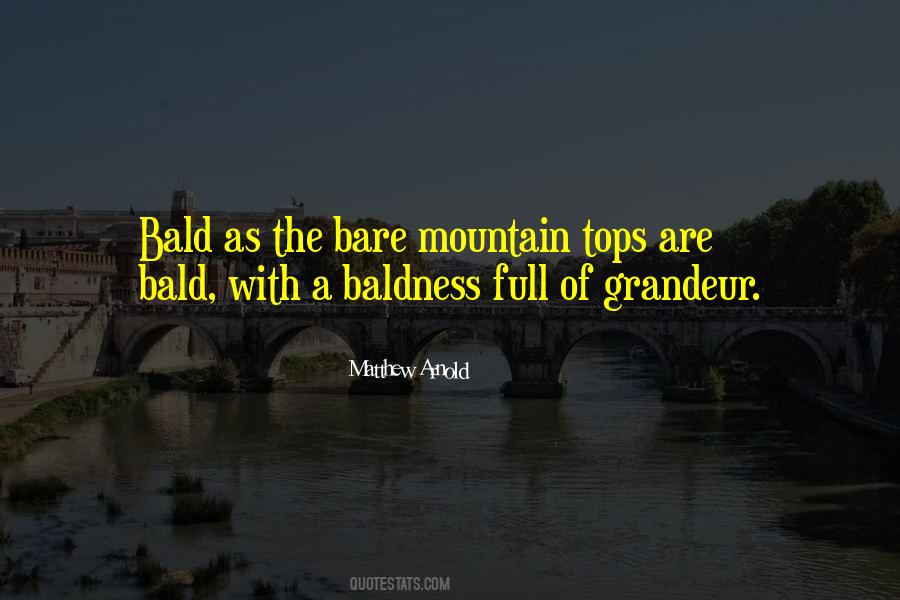 Moronta Pitcher Quotes #80651