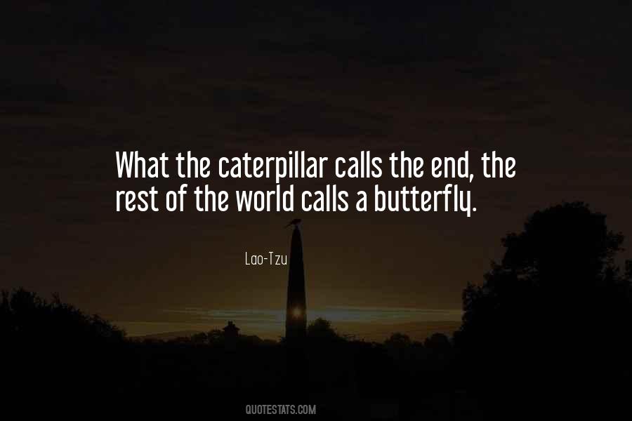 Butterfly Caterpillar Quotes #114460