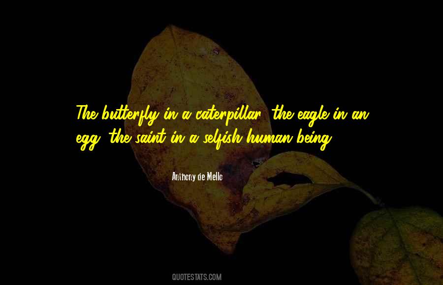 Butterfly Caterpillar Quotes #380897