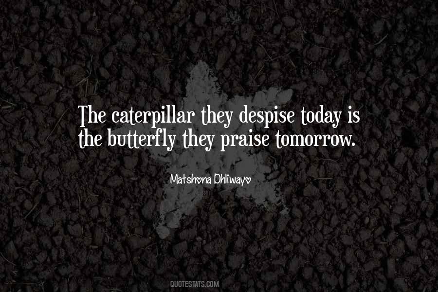 Butterfly Caterpillar Quotes #579826