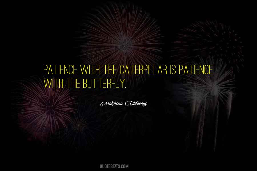 Butterfly Caterpillar Quotes #630071