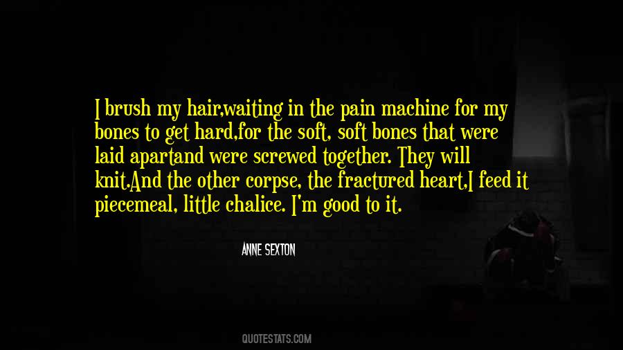 Good Bones Quotes #1188163