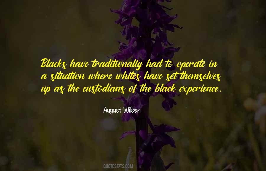 Black Experience Quotes #997028