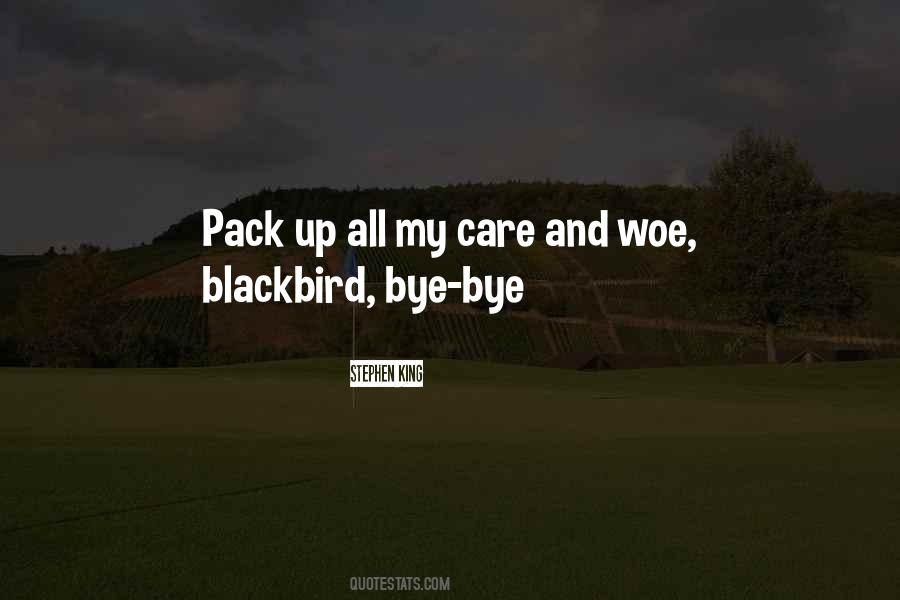 Bye Bye Blackbird Quotes #548382