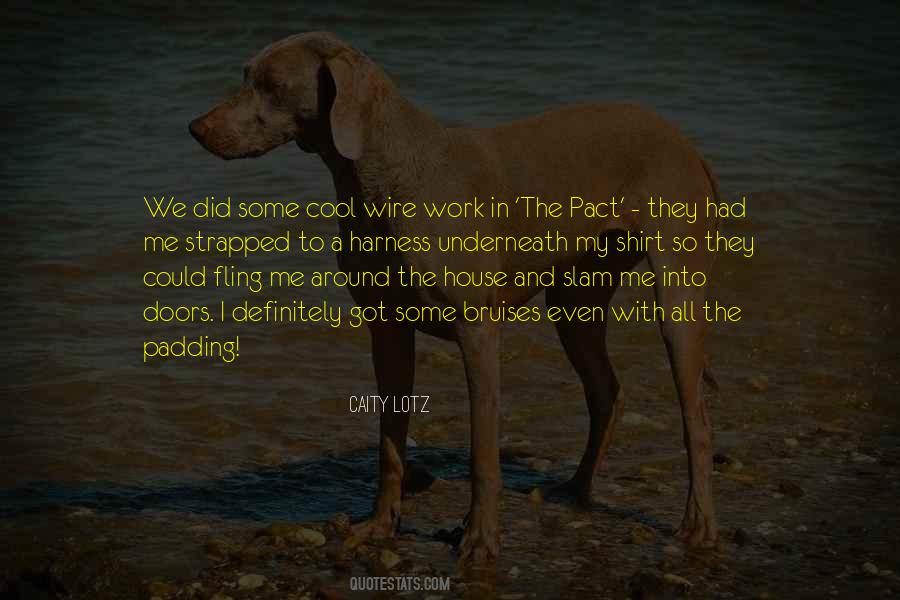 Lotz House Quotes #611247