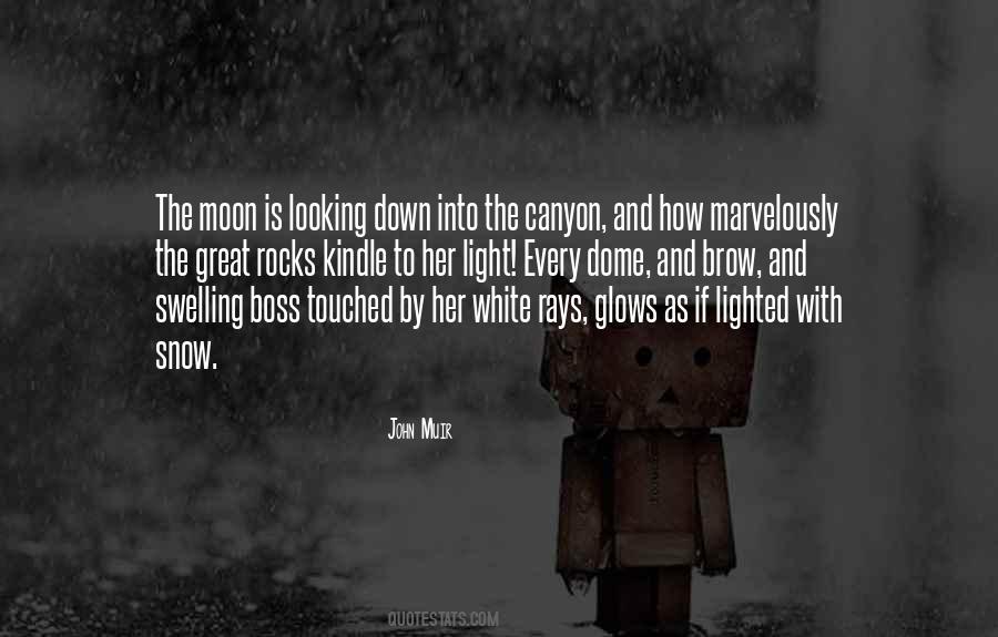 Quotes About Looking Up At The Moon #56836