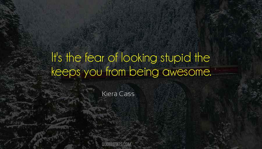 Quotes About Looking Stupid #1165009