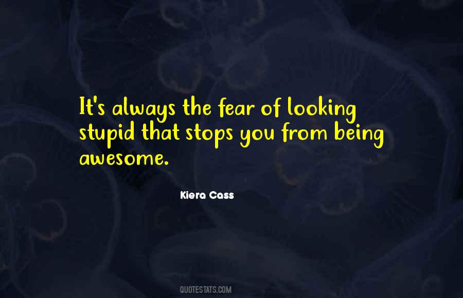 Quotes About Looking Stupid #1476019