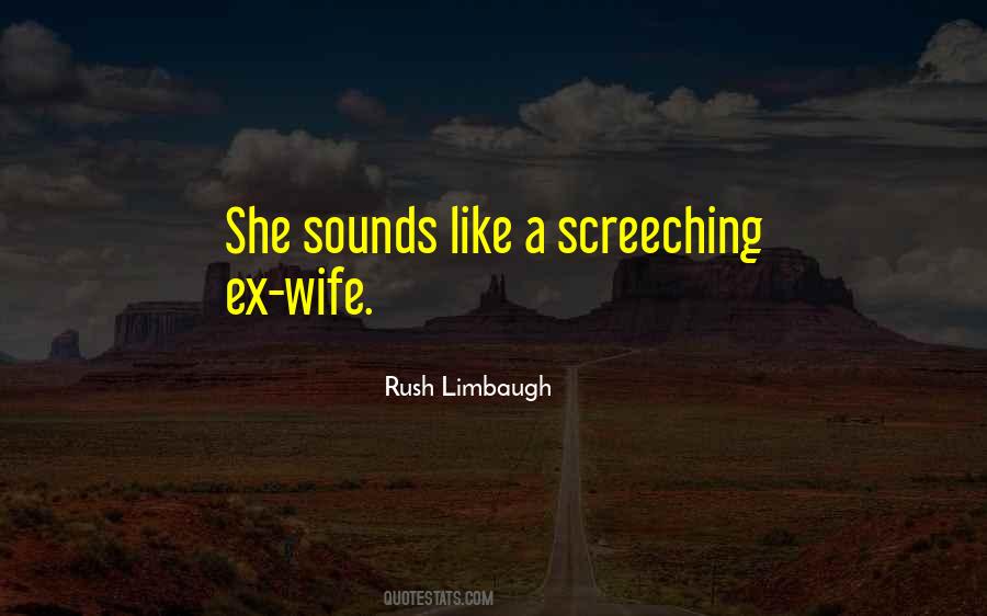Stupid Rush Limbaugh Quotes #1716011