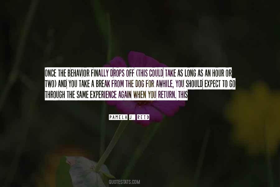 Odd Thomas Stormy Quotes #693188