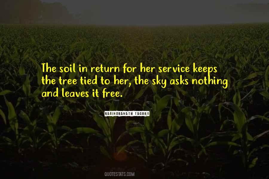 Soil Soil Quotes #43455