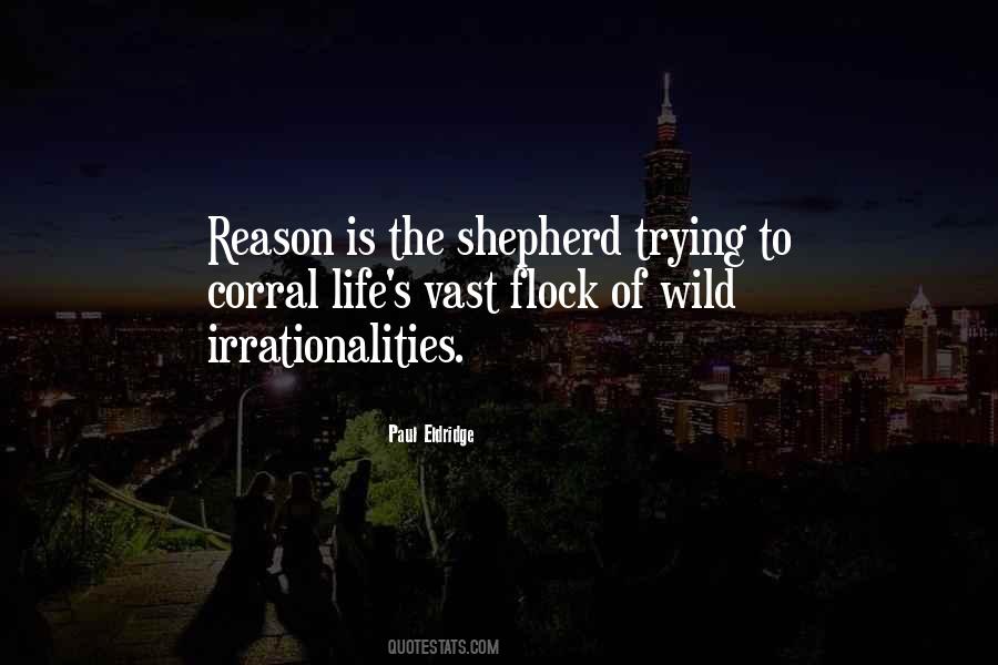 Viju Krem Quotes #408453