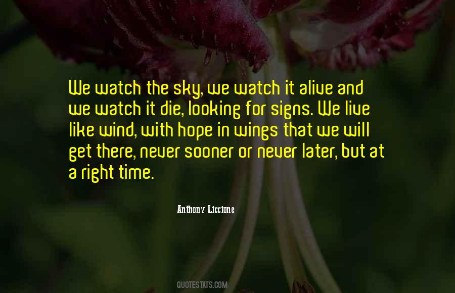 Quotes About Looking For Signs #1416421