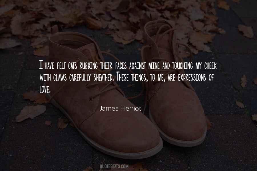 Cenote Quotes #1624784