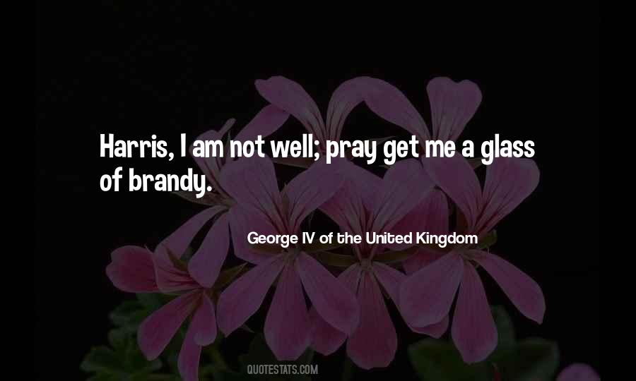 Havermans Slager Quotes #154124
