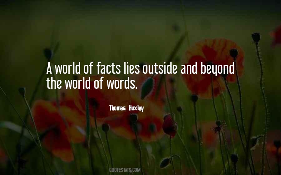Saidy Samayoa Quotes #1792825