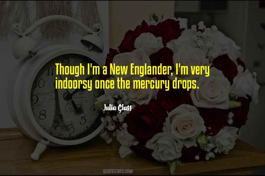 Volokhonsky Pevear Quotes #33740