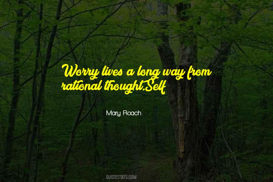 Soul Finders Keepers Quotes #1499806