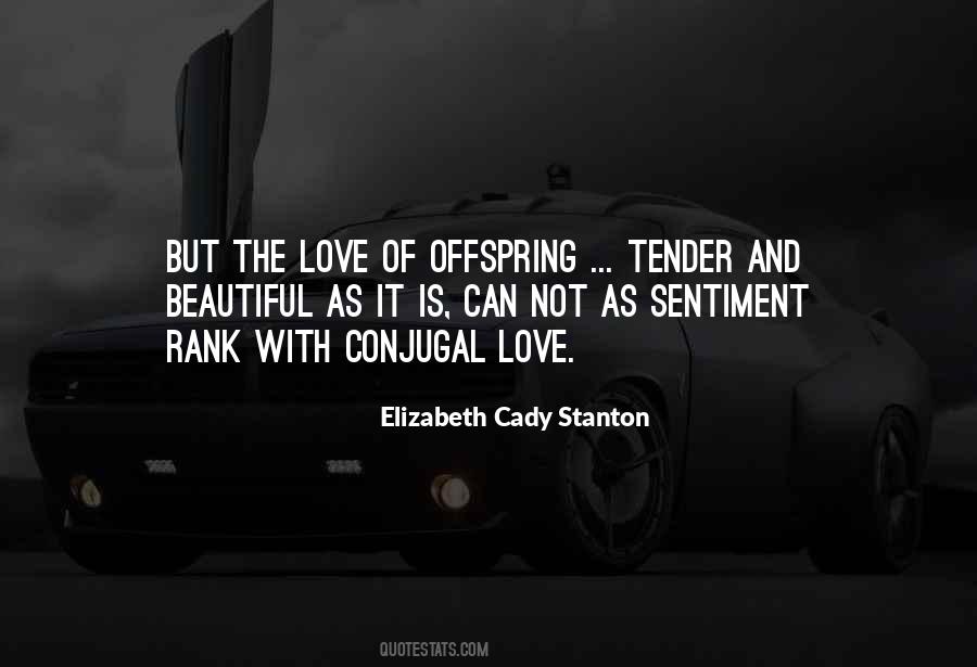 Cady Stanton Quotes #537446