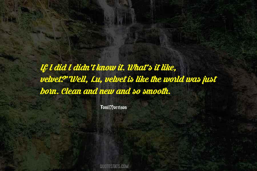 Yossarians Catch Quotes #1292040