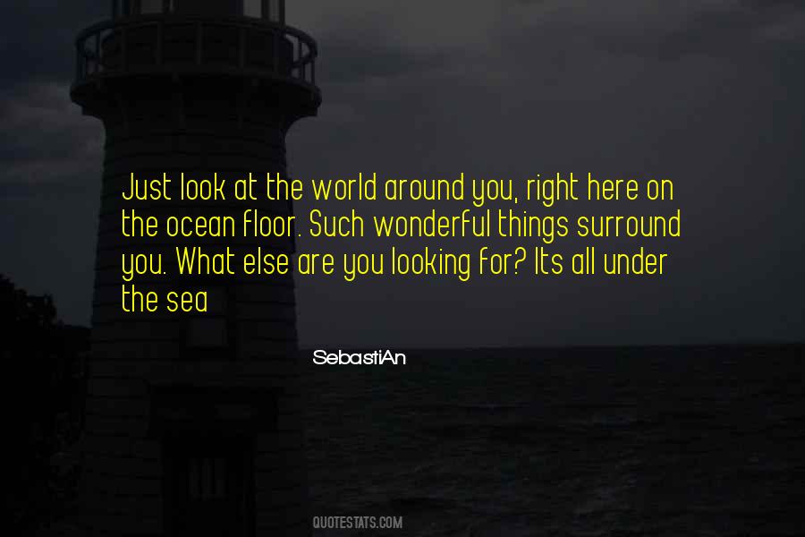 Quotes About Looking At The Ocean #1468273