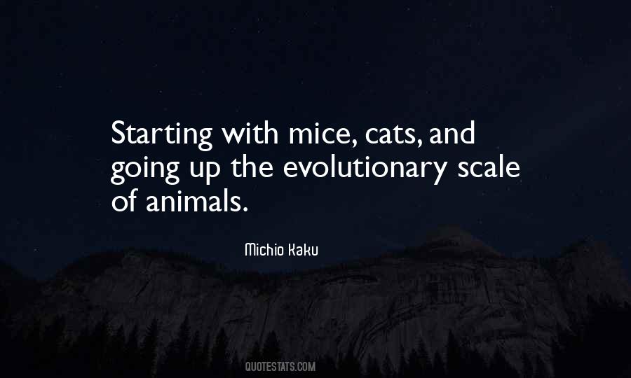 Mobina Nasiri Quotes #277338