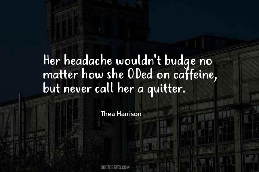 Never Be A Quitter Quotes #614098