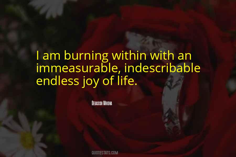 Joy Within Quotes #100301