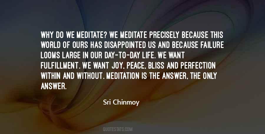 Joy Within Quotes #1123170