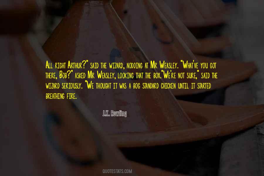 Ziningi Quotes #408495