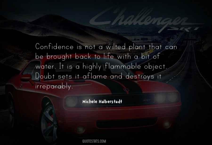 Mahasamadhi Significado Quotes #481673